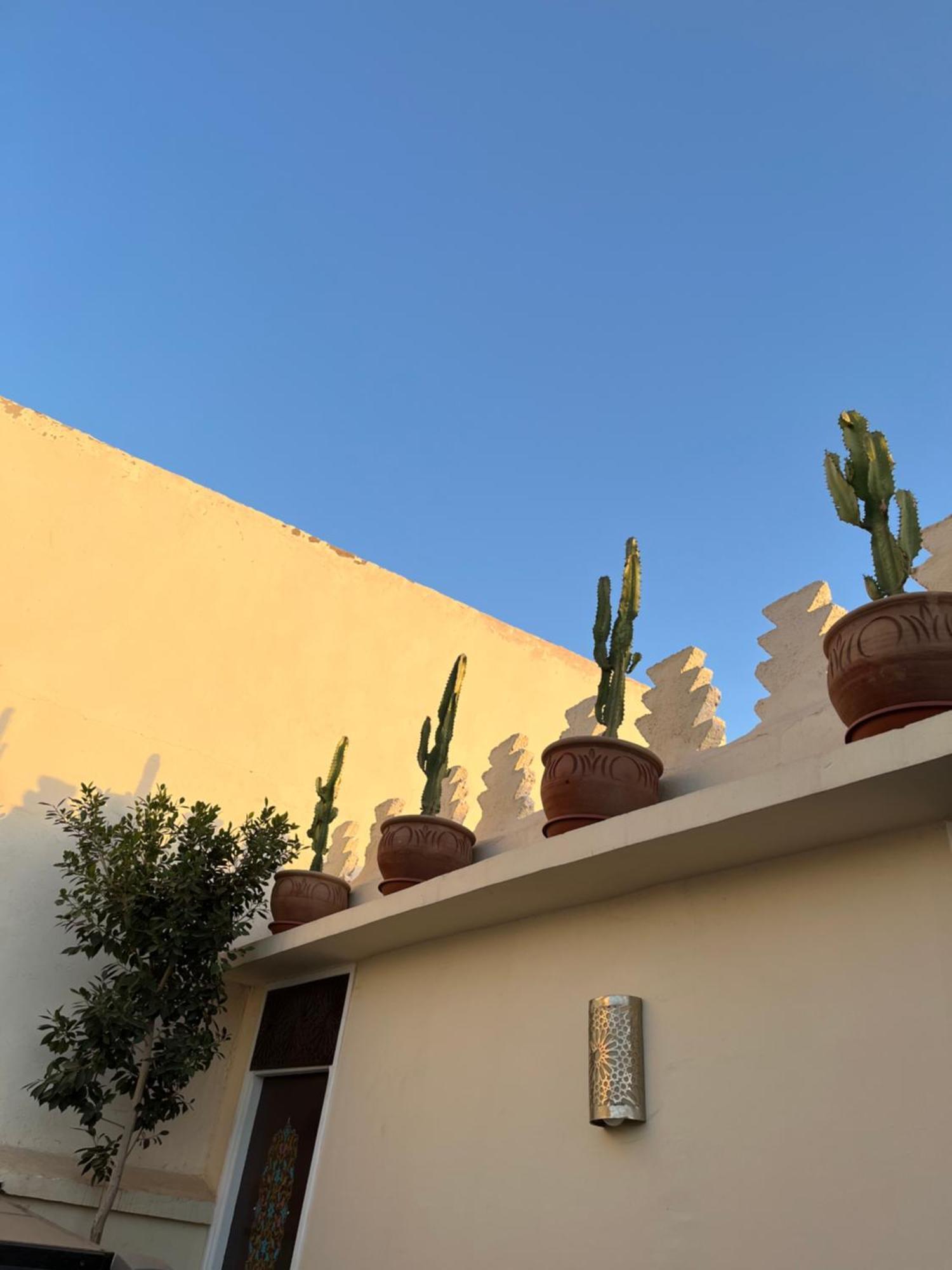Riad Julilu Privatise Marrakesh Eksteriør bilde